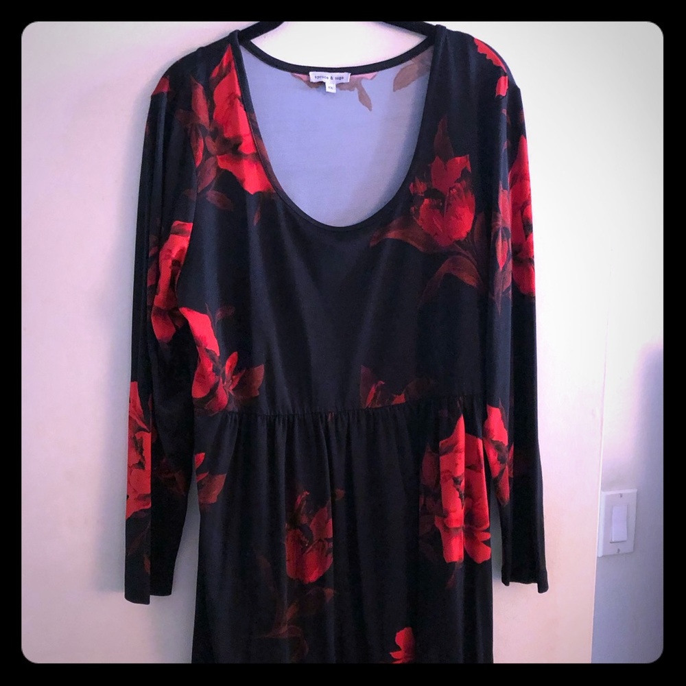 Gorgeous Red and Black rose dress